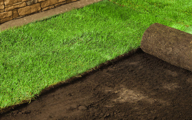 Sod Installation Services in Bentonville, AR